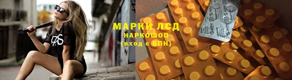 крисы Ростов